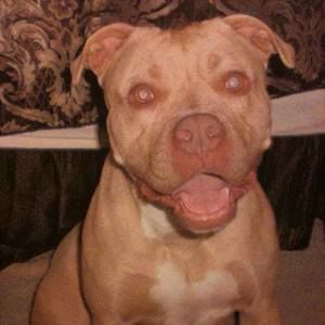 Meet your Posher, Alejandro